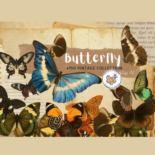 Kit Digital Borboletas Vintage Premium - Butterfly
