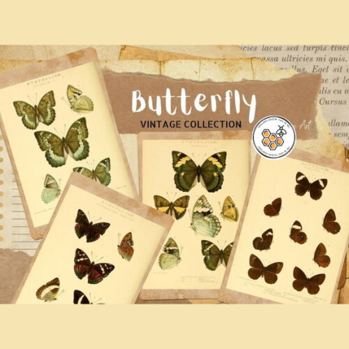 Kit Digital Borboletas Vintage Premium - Butterfly