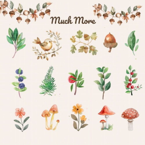 Kit Digital Bosque Aquarela #05 Woodland Animals Cc Premium