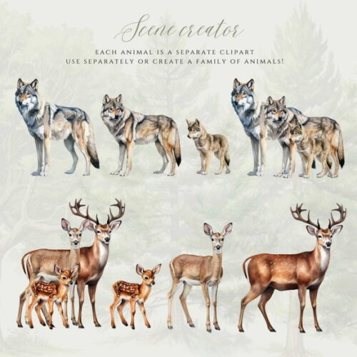 Kit Digital Bosque Realista Png Premium #43 Animais Floresta