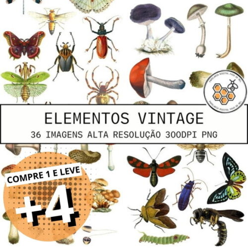 Kit Digital Cogumelo e Insetos Vintage - Elementos Vintage