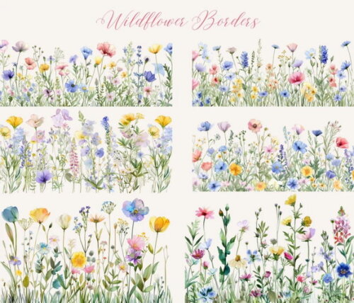Kit Digital Flores do Campo Aquarela #06 Bordas Florais Png