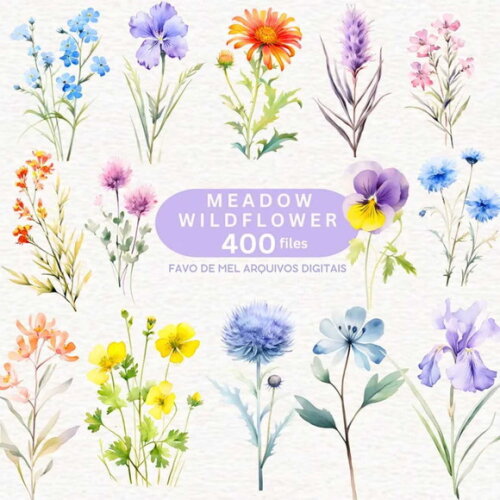 Kit Digital Flores do Campo Aquarela #09 Png Flores Soltas