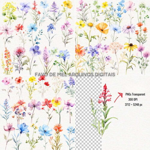 Kit Digital Flores do Campo Aquarela #09 Png Flores Soltas