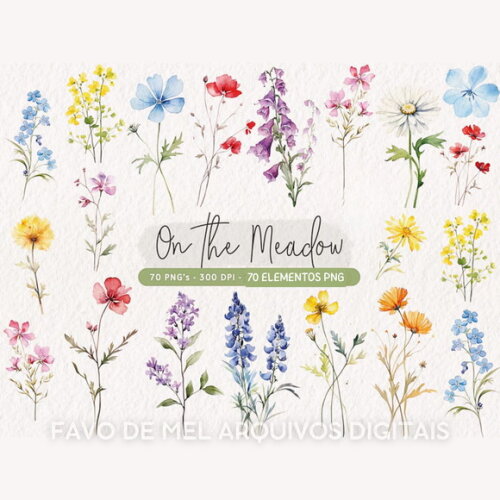 Kit Digital Flores do Campo Aquarela Png Premium