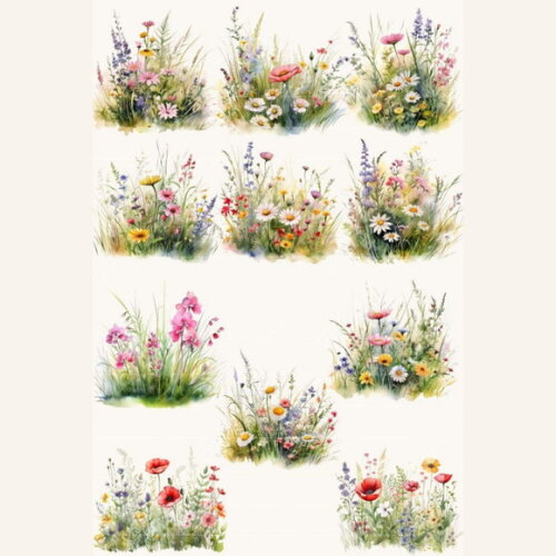 Kit Digital Png Flores do Campo Aquarela (pague 1 Leve +4)
