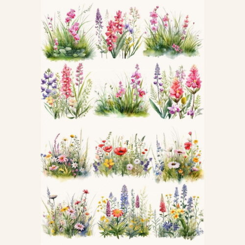 Kit Digital Png Flores do Campo Aquarela (pague 1 Leve +4)