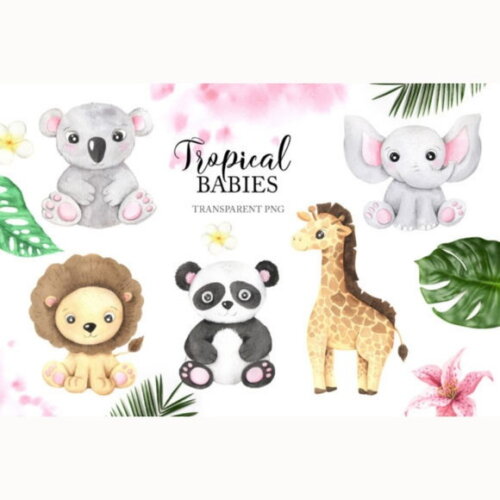 Kit Digital Png Safari Baby 06 Tropical (pague 1 Leve +4)