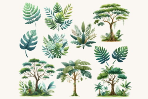Kit Digital Png Safari Baby Aquarela 10 (pague 1 Leve +4)