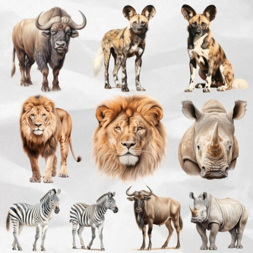 Kit Digital Safari Realista Premium (ddm)