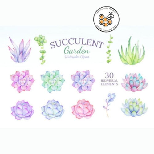 Kit Digital Suculentas Aquarela - Succulent Garden