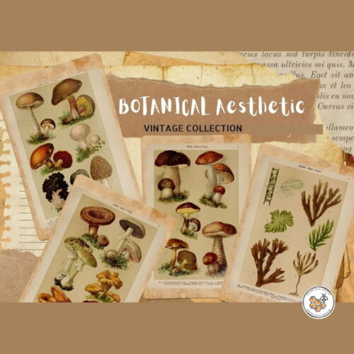 Kit Digital Vintage Botânico - 80 Elementos