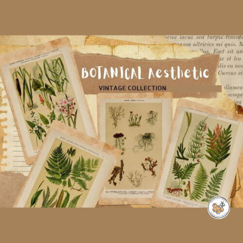 Kit Digital Vintage Botânico - 80 Elementos