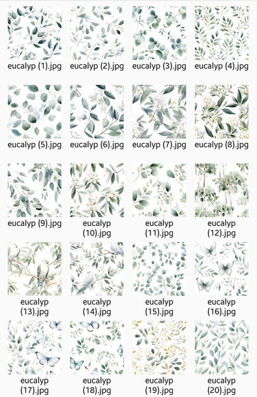 Papel Digital Folhagem Eucalipto Jpg Greenery Folhas
