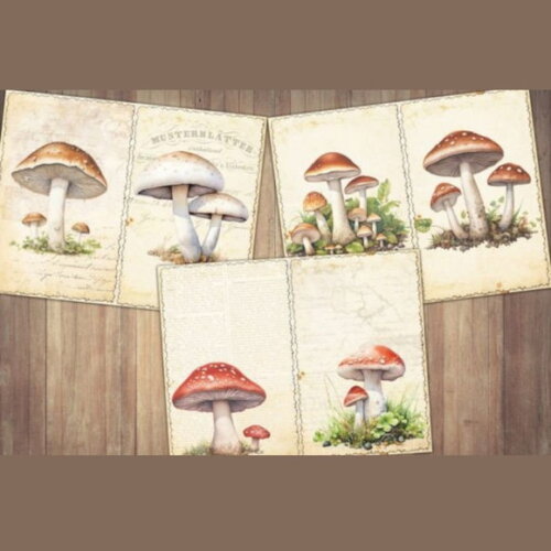 Papel Digital Vintage 29 - Cogumelos