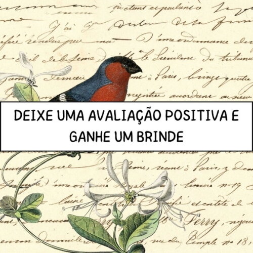 Papel Digital Vintage 61 - Pássaros - Bird Ephemera Dc