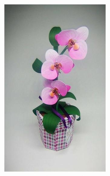 Arquivo de corte Orquidea - COD.: 565
