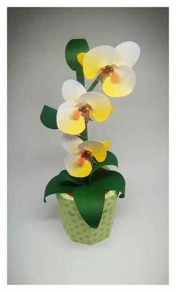 Arquivo de corte Orquídea Amarela STUDIO - COD.: 564