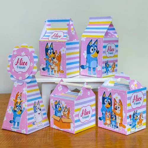 Kit 10 Caixinhas Personalizadas Bluey Menina PEGUE E MONTE (LEIA