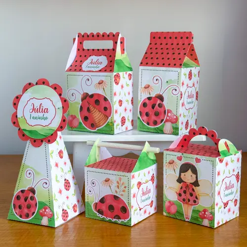 Kit 10 Caixinhas Personalizadas Joaninha PEGUE E MONTE (LEIA A DE
