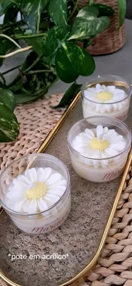 Vela Margarida no Pote
