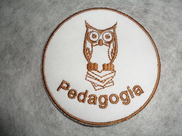 Patch Bordado Termocolante Logo Pedagogia