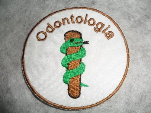 Patch Bordado Termocolante Logo Odontologia