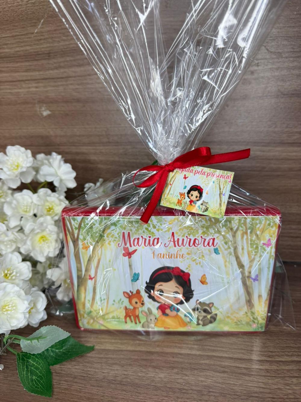 Estojo de Pintura 30 peças Branca de Neve