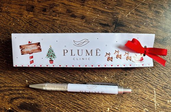Caneta Personalizada com Caixinha/sacolinha Natal