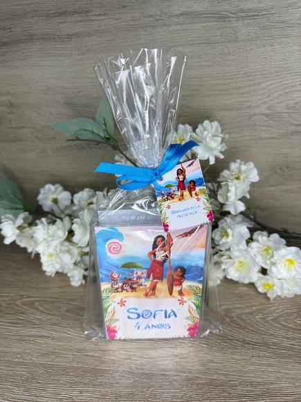 Estojo de Pintura 20 Peças Moana 2