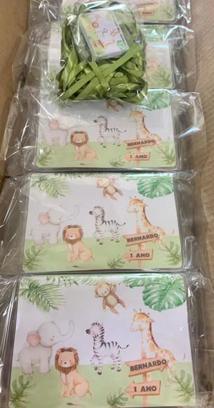 Estojo de Pintura 20 Peças Safari