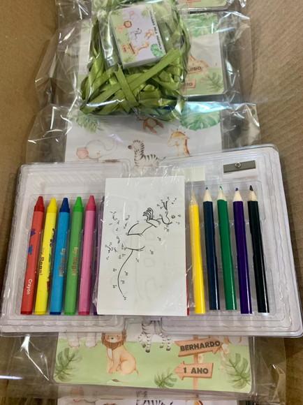 Estojo de Pintura 20 Peças Safari