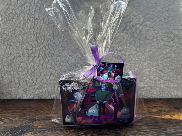 Estojo de Pintura 20 Peças Vampirina