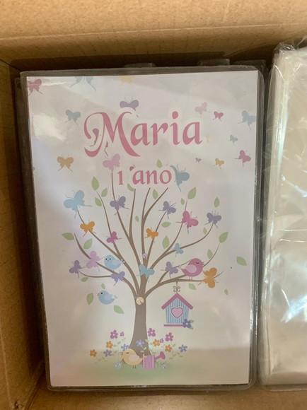 Estojo de Pintura 30 Peç Jardim das Borboletas
