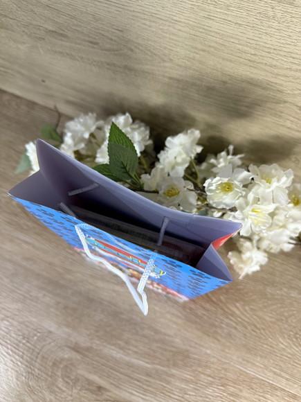 Estojo de Pintura 30 Peças + Sacola Personalizada Patrulha