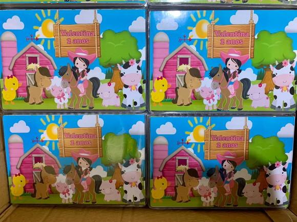 Estojo de Pintura 30 Peças Fazendinha Rosa