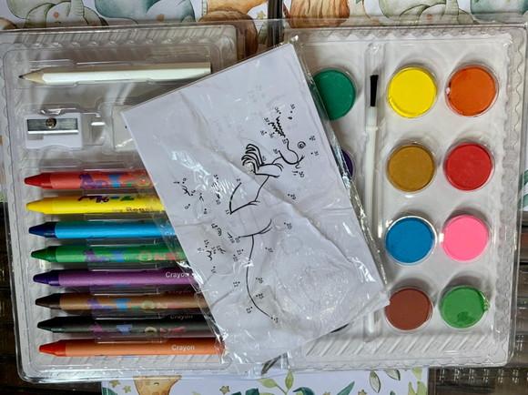 Estojo de Pintura 30 Peças Safari