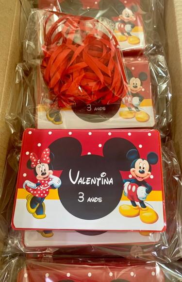 Estojo de Pintura com 20 Peças Mickey e Minnie