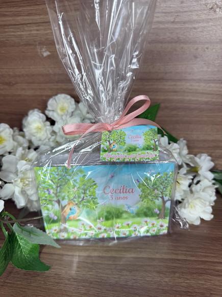 Estojo de Pintura Personalizado 20 Peças Jardim