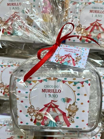 Kit Colorir na Maleta Acrilica Circo