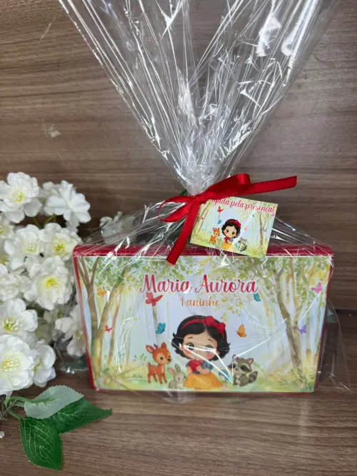 Estojo de Pintura 30 peças Branca de Neve