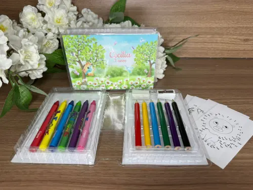 Estojo de Pintura 20 Peças Jardim