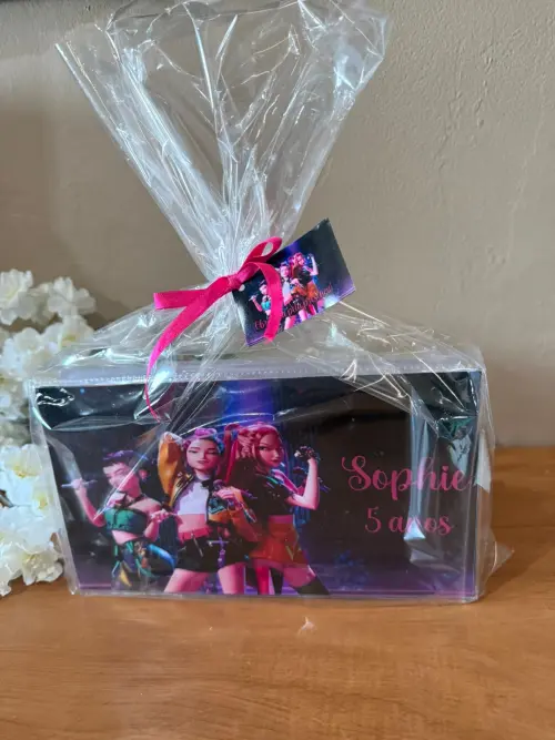 Estojo de Pintura Luxo 50 Peças Guerreiras do Kpop