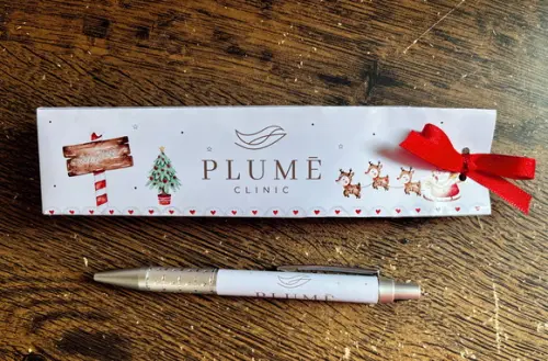 Caneta Personalizada com Caixinha/sacolinha Natal