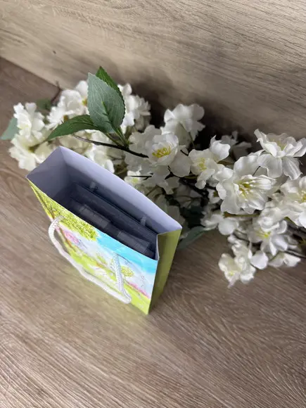 Estojo de Pintura 20 Peças + Sacolinha Personalizada Jardim