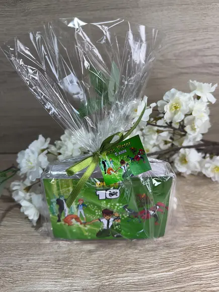 Estojo de Pintura 20 Peças Ben10