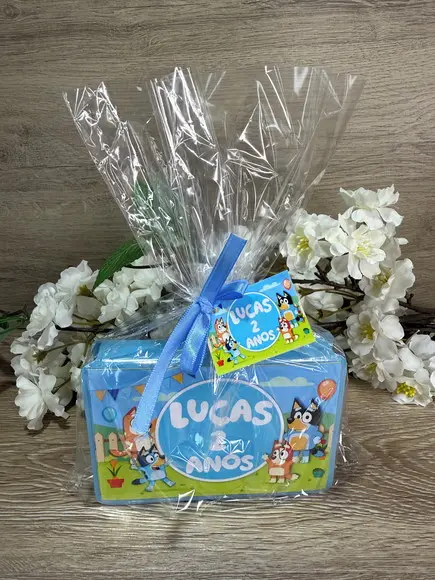 Estojo de Pintura 20 Peças Bluey