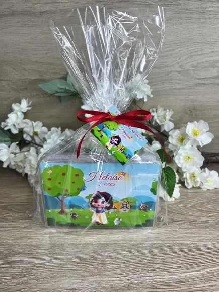 Estojo de Pintura 20 Peças Branca de Neve