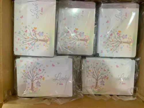 Estojo de Pintura 20 Peças Jardim de Borboletas