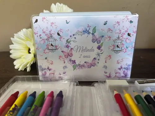 Estojo de Pintura 20 Peças Jardim das Borboletas
